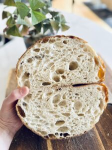 Sourdough Club High Hydration Sourdough